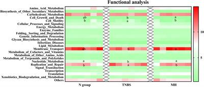 Matrine Mediates Inflammatory Response via Gut Microbiota in TNBS-Induced Murine Colitis